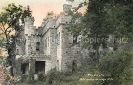 43099678 Berkeley_Springs Castle - Autres & Non Classés