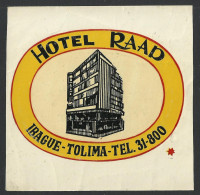 COLOMBIA  IBAGUE - Hotel RAAD -  Luggage Label - 9,5 X 10 Cm (see Sales Conditions) - Etiketten Van Hotels