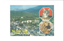 DIVONNE LES BAINS  MULTIVUES   THEME CHIENS   CHATS           ///           A  SAISIR ***** - Divonne Les Bains