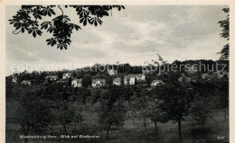 73573061 Blankenburg Harz Blick Auf Grossvater Blankenburg Harz - Blankenburg