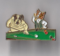 PIN'S THEME SPORT  BILLARD  CHIEN ET CHAT   JOUANT - Billiards