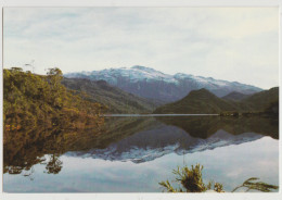 Australia TASMANIA TAS Reflections On New LAKE PEDDER HEC 4404/4 Postcard C1970s - Autres & Non Classés