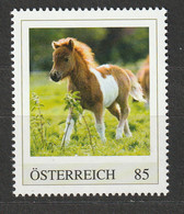 Österreich Personalisierte BM Tierkinder Fohlen ** Postfrisch - Personalisierte Briefmarken