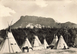 CPSM INDIAN CAMP. American Indian Encampment In Alberta-Cheval-Tppies-Timbre       L2749 - Altri & Non Classificati