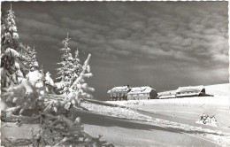 Belchen Hotel Belchenhaus 1966 Winter - Bad Krozingen