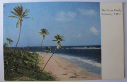 ANTILLE - LA BARBADE - The Crane Beach - Barbados (Barbuda)