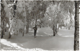 Winterzauber Im Oberharz Belebt - Oberharz