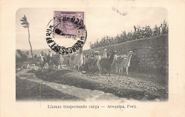Peru - AREQUIPA - Llamas Trasportando Carga - Ed. Desconocido  - Perù
