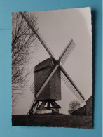 De MOLEN > Klemskerke ( Edit.: Adriaens ) Anno 19?? ( Zie SCANS ) ! - De Haan