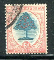 AFRIQUE DU SUD- Y&T N°21- Oblitéré - Used Stamps