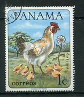 (CL 19 B  - P.19 - Lot 1) Panama Ob - Oiseau : La Poule Et Ses Poussins - Fattoria