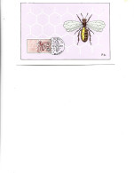 Spain  -  Maximum Postcard  1962 -    Bees - Anthophila - Bombus Pratorum (?) - Bienen