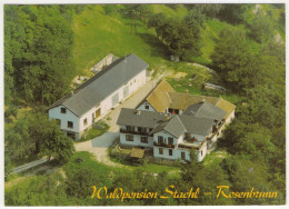 Waldpension 'Stachl', Rosenbrunn, Hochwolkersdorf - (Österreich/Austria) - Wiener Neustadt