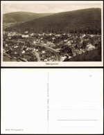 Ansichtskarte Neckargemünd Stadt, Bahnstrecke 1963 - Neckargemünd