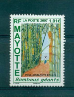 Mayotte 2007 - Comores (1975-...)