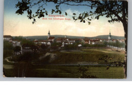 0-8293 KÖNIGSBRÜCK, Blick Vom Scheibinger Berge - Koenigsbrueck