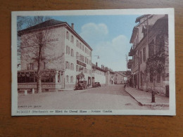 France / Rumilly, Hotel Du Cheval Blanc, Avenue Gandin --> Ne Pas écrit - Rumilly