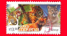 MESSICO - Usato - 2005 - Mexico Conserva - Conservazione Del Messico - Gatti Rapaci - Felinos - 13.00 - México