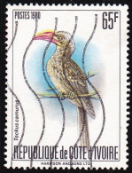 Timbre-poste Dentelé Oblitéré - Oiseaux Et échassiers Calao Pygmée (Tockus Camurus) - N° 556B (Yvert) - RCI 1980 - Côte D'Ivoire (1960-...)