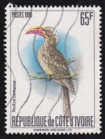 Timbre-poste Dentelé Oblitéré - Oiseaux Et échassiers Calao Pygmée (Tockus Camurus) - N° 556B (Yvert) - RCI 1980 - Côte D'Ivoire (1960-...)