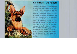 La Prière Du Chien, à Mon Maitre ! - Philosophie & Pensées