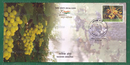 INDIA 2021 Inde Indien - NASHIK GRAPES - Special Postmark Cover - Nashik 01.08.2021 - Fruit, Fruits, GI Tag - Fruits