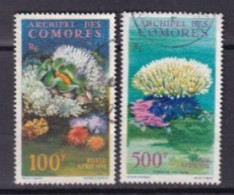 COMORES Oblitéré Used Poste Aerienne 1962 Faune Marine - Usados