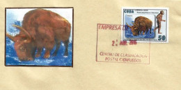 Le Bison & L'Australopithèque,sur Lettre De Cienfuegos (Cuba) - Mucche