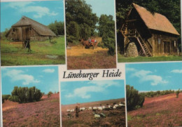 107271 - Lüneburger Heide - 6 Bilder - Lüneburger Heide