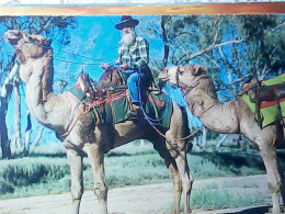 AUSTRALIE / OUTBACK / ORIGINAL " ALICE SPRING BARKER SOUVENIR CAMEL TRANPORT CAMMELLI N1980  JV5413 - Outback