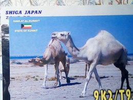 QSL KUWAYT KUWAIT CAMELUS  DROMEDARY ARABIAN CAMEL  2003  JV5419 - Koweït