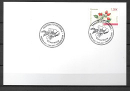 2011 - 714 - Fleurs - 14 - FDC