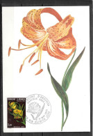 1980 - 286 - Fleur, Dent De Chien - 4 - FDC