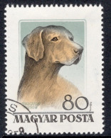 Hungary 1956 Single Stamp Showing Hungarian Dogs In Fine Used - Gebruikt