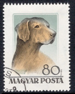 Hungary 1956 Single Stamp Showing Hungarian Dogs In Fine Used - Usati