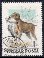 Hungary 1956 Single Stamp Showing Hungarian Dogs In Fine Used - Usati