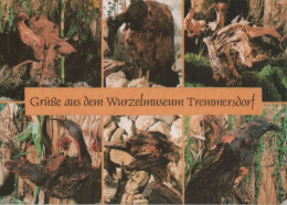65182 - Speinshart-Tremmersdorf - Wurzelmusuem - Ca. 1995 - Neustadt Waldnaab