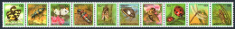 Korea South 1625-1634a Strip, MNH. Michel 1655-1664. Insects 1991. - Corée Du Sud