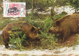 Carte Maximum Roumanie Roumania Sanglier Wild Boar 2178 - Maximumkarten (MC)