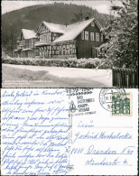 Bad Lauterberg Im Harz Kurpension Unterkunft Pension Parkvilla, Harz 1964 - Bad Lauterberg