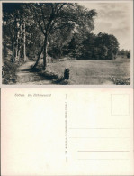 Ansichtskarte Emmingen-Soltau Weg Im Böhmewald 1932  - Soltau