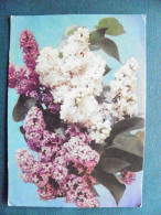 Post Card Postal Stamped Stationery Ussr 1970 Flowers Flora - 1970-79