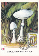 Carte Maximum URSS Russie Russia Champignon Mushroom 5304 - Maximumkaarten