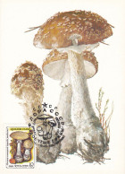 Carte Maximum URSS Russie Russia Champignon Mushroom 5306 - Cartes Maximum