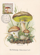 Carte Maximum URSS Russie Russia Champignon Mushroom 2880 - Cartoline Maximum