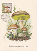 Carte Maximum URSS Russie Russia Champignon Mushroom 2880 - Maximumkaarten