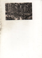 Cote D'Ivoire - CPSM - ABIDJAN - La Forêt Et Le Rivière Du Banco - Timbre - Scan Du  Verso - 1949 - - Côte-d'Ivoire