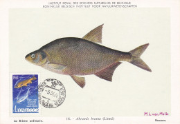 Carte Maximum URSS Russie Russia Poisson Fish Brème 2256 - Cartes Maximum