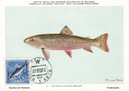 Carte Maximum URSS Russie Russia Poisson Fish Saumon Salmon 2186 - Cartoline Maximum