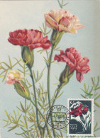 Carte Maximum URSS Russie Russia Fleur Flower œillet Carnation  2958 - Maximumkarten